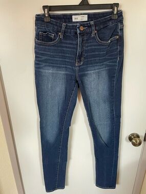 BKE Gabby Skinny Jeans size 25x31.5